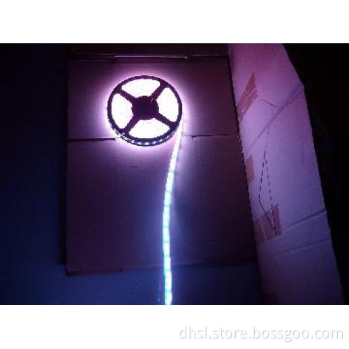 smd5050 led strip light 30pcs led per meter Ip68(2)